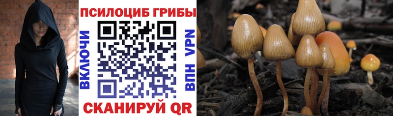 Псилоцибиновые грибы MAGIC MUSHROOMS  Купить где  Асбест 